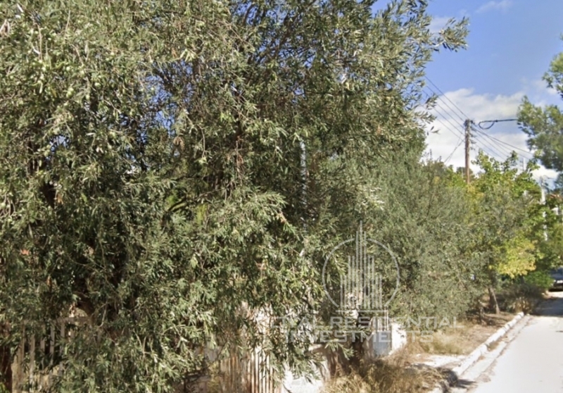 property-img